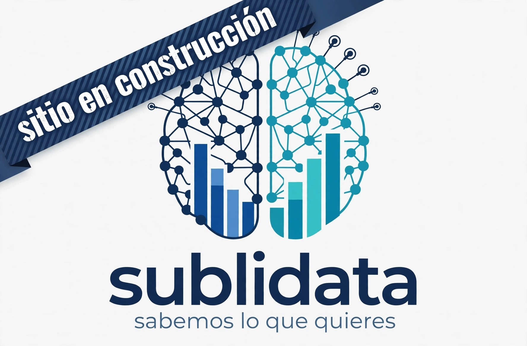 sublidata.cl